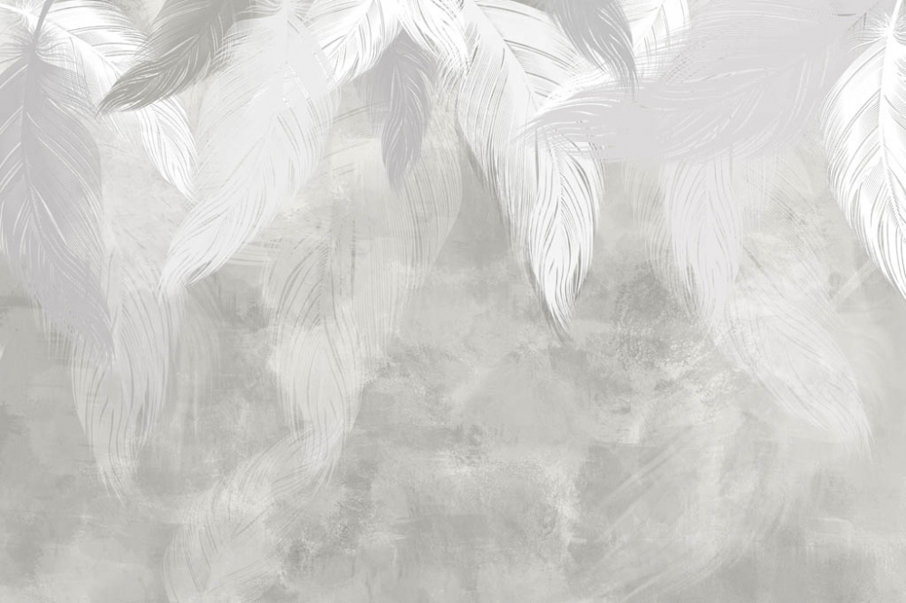 Фотообои и фрески - Светлые и белые перья на серой штукатурке